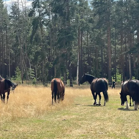 Landhof Belka Lägenhet *